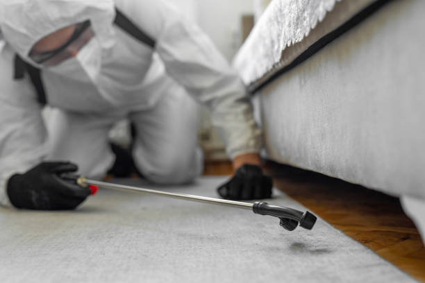 Professional Bed Bug Control technician working in Prestbury, IL