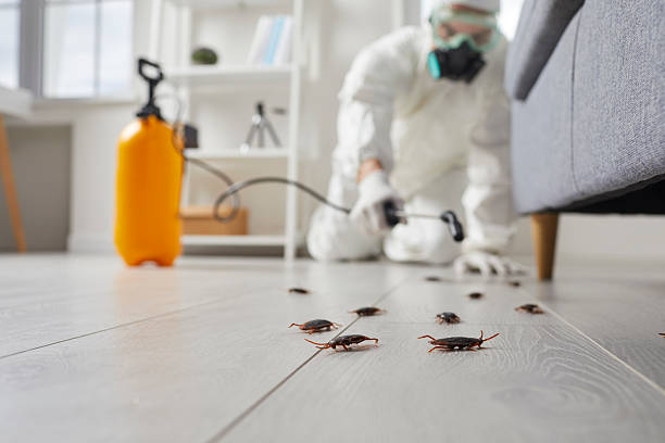Trusted Fumigation Services service in Prestbury, IL - Nex Pest Control