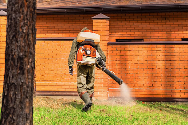 Trusted Bed Bug Control service in Prestbury, IL - Nex Pest Control
